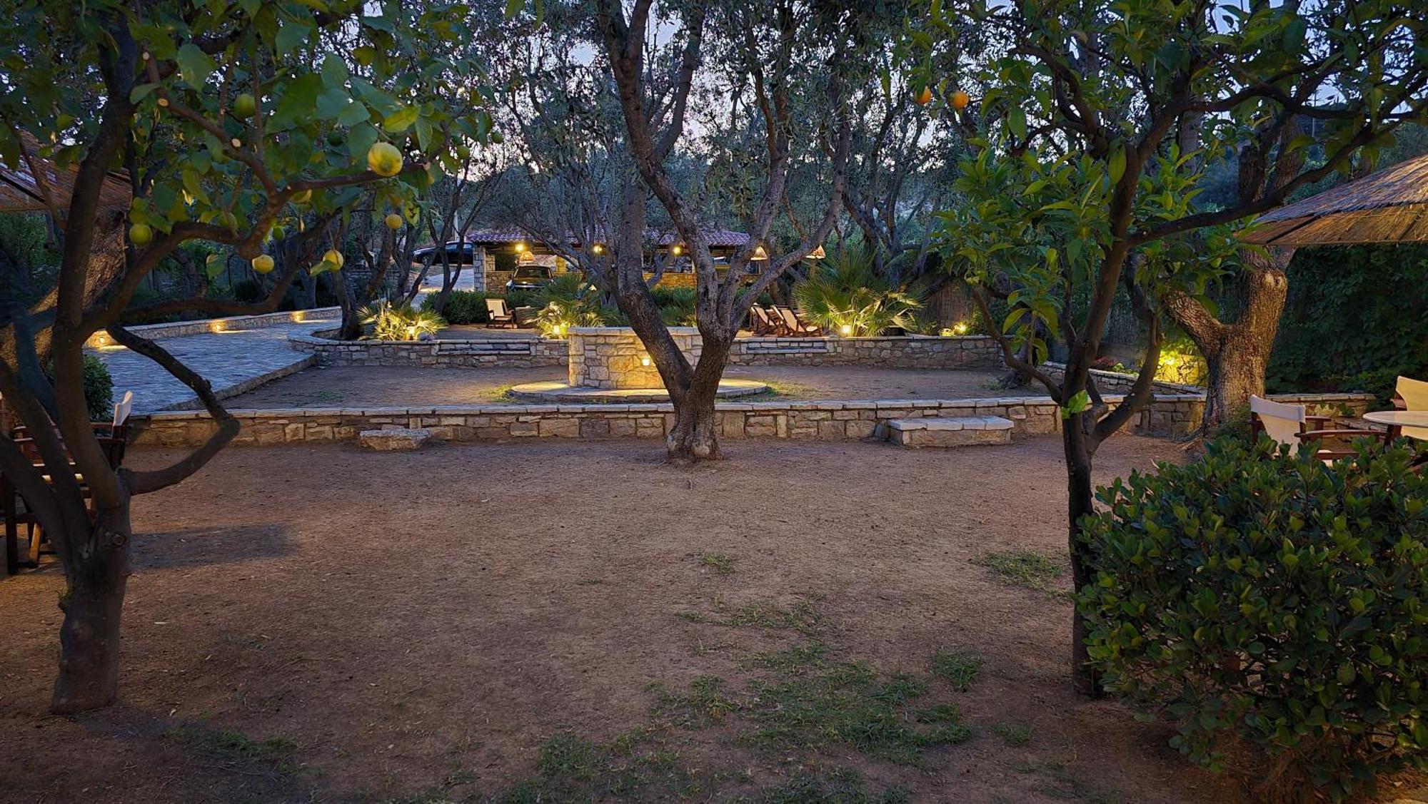 Kalamaki  Villa Petra מראה חיצוני תמונה