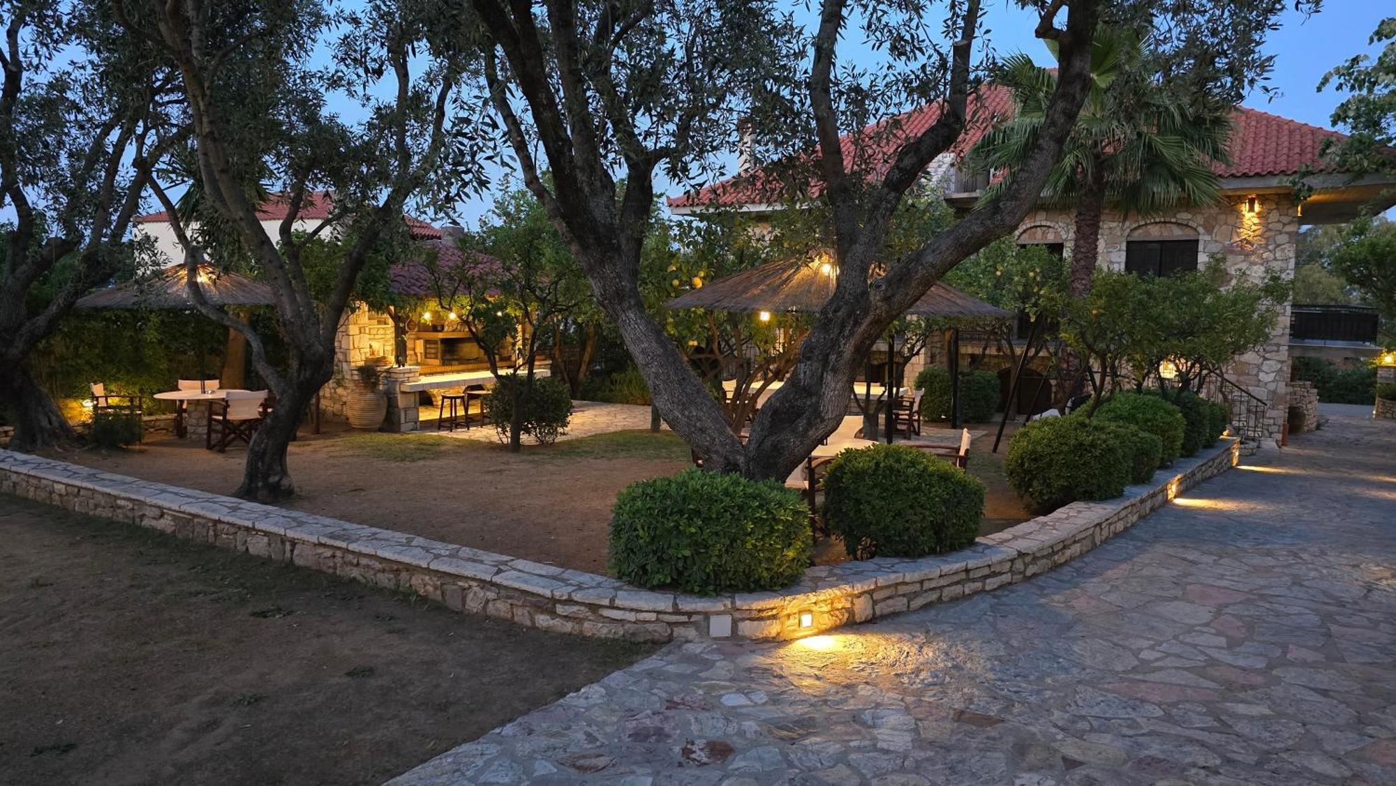 Kalamaki  Villa Petra מראה חיצוני תמונה