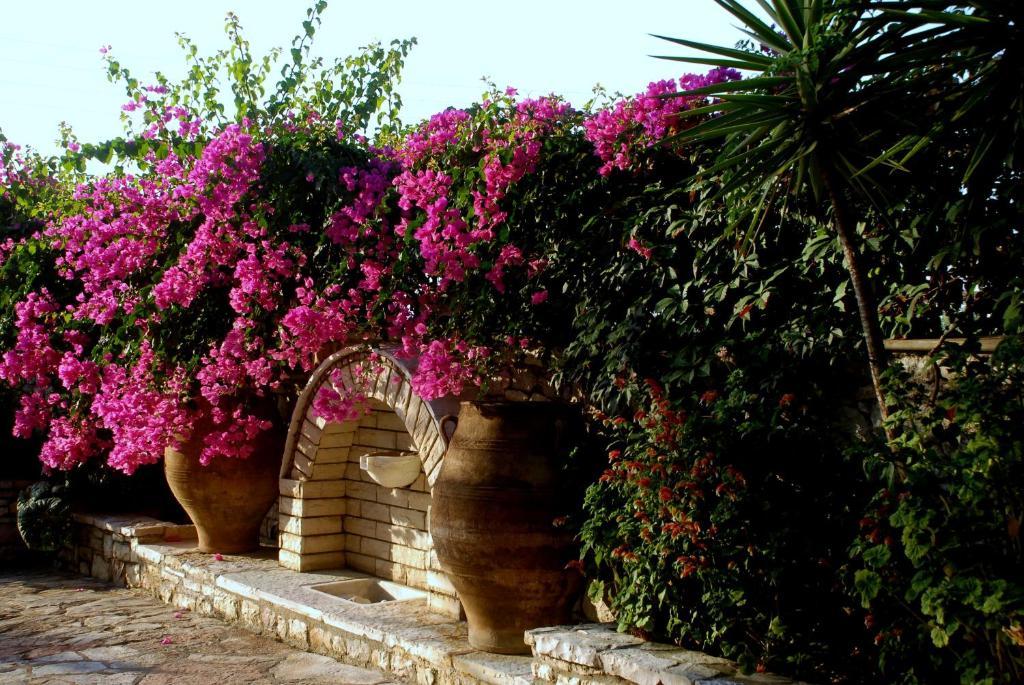 Kalamaki  Villa Petra מראה חיצוני תמונה
